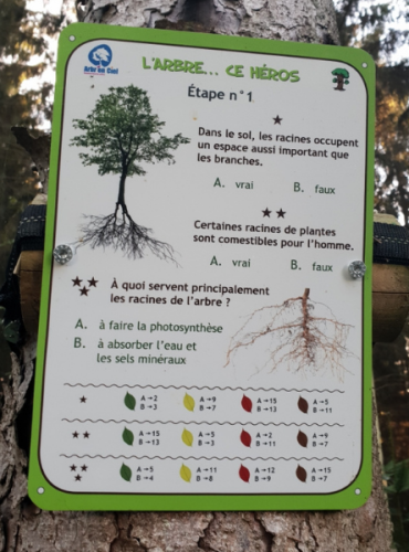 Parcours ludo-éducatif