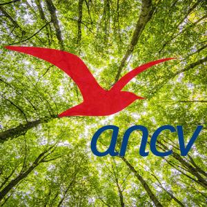 Acceptez-vous les chèques vacances ?