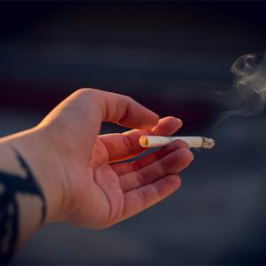 Peut-on fumer dans l'enceinte du parc ? 