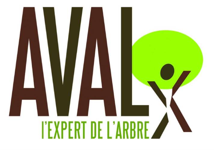 Logo Aval